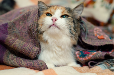 Similar image 21519913