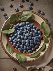 Similar image 21518865