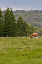 Similar image 21518630