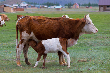 Similar image 21518632