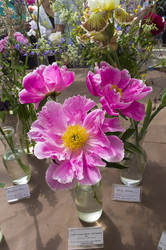 Similar image 21518634