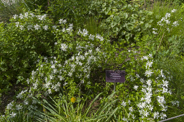 Similar image 21518635