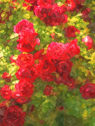 Similar image 21519794