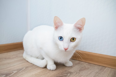 Similar image 21519047