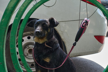 Similar image 21519726