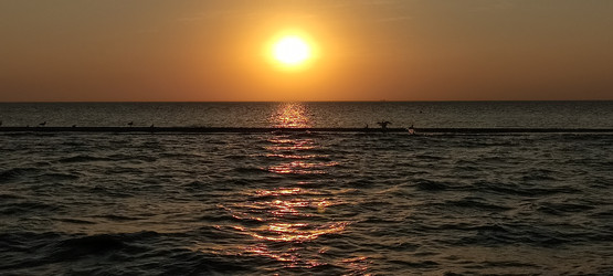 Similar image 21519926