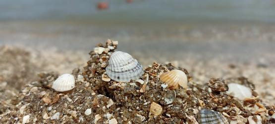 Similar image 21519728