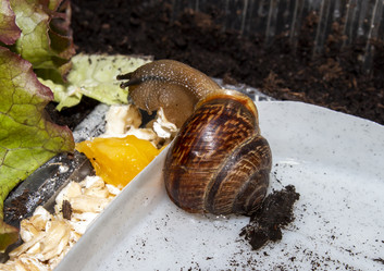 Similar image 21519079