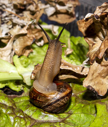 Similar image 21519081