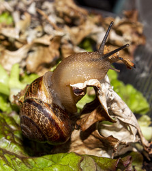 Similar image 21519083