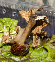 Similar image 21519084