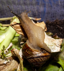 Similar image 21519085