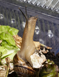 Similar image 21519087