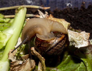 Similar image 21519090