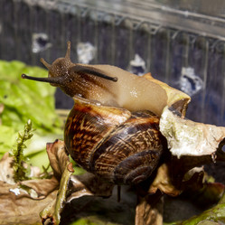 Similar image 21519091