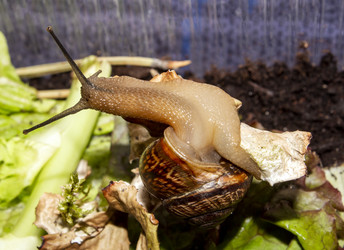 Similar image 21519092