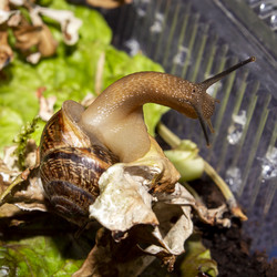 Similar image 21519093