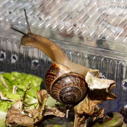 Similar image 21519094