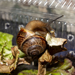 Similar image 21519095