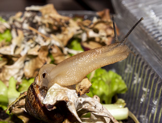 Similar image 21519096