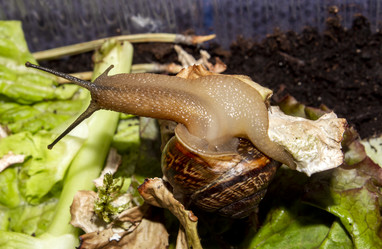 Similar image 21519098