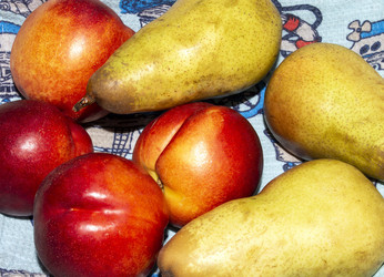 Similar image 21520974