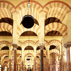 Similar image 21520027