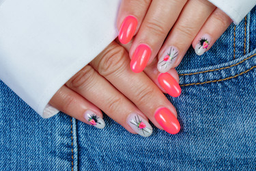 Similar image 21519735