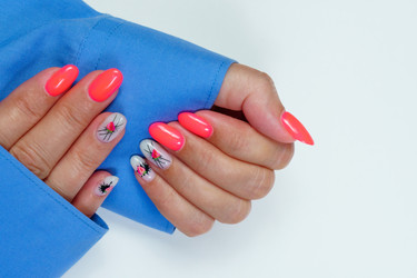 Similar image 21519740