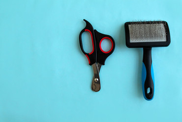 Similar image 21519807