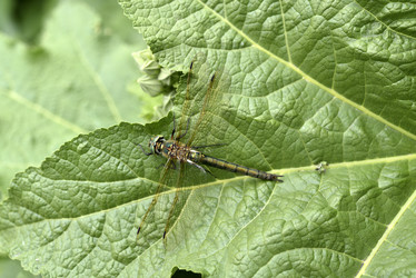 Similar image 21519742