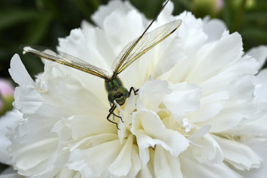 Similar image 21519747