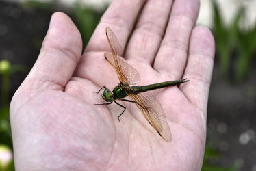 Similar image 21519751