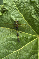 Similar image 21519753