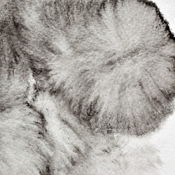 Similar image 21520498