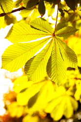 Similar image 21520134