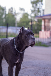 Similar image 21523652