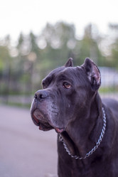 Similar image 21523653