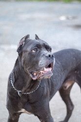 Similar image 21523654