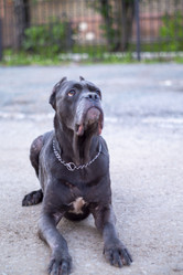 Similar image 21523655