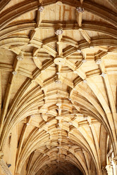 Similar image 21520193