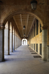 Similar image 21520198