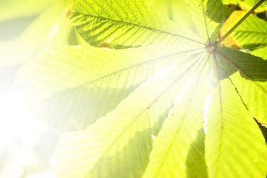 Similar image 21520207