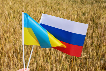 Similar image 21519518