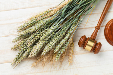 Similar image 21519521