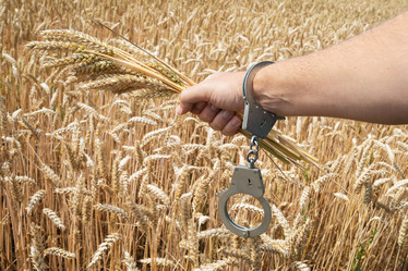 Similar image 21519525