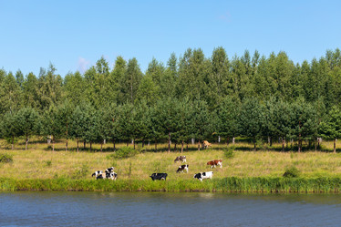 Similar image 21519541