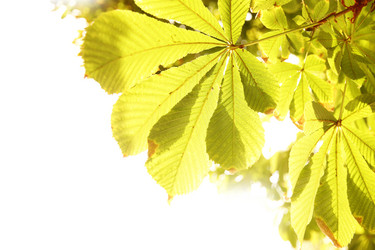 Similar image 21520251