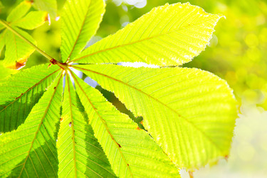 Similar image 21520255