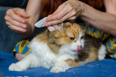 Similar image 21519927